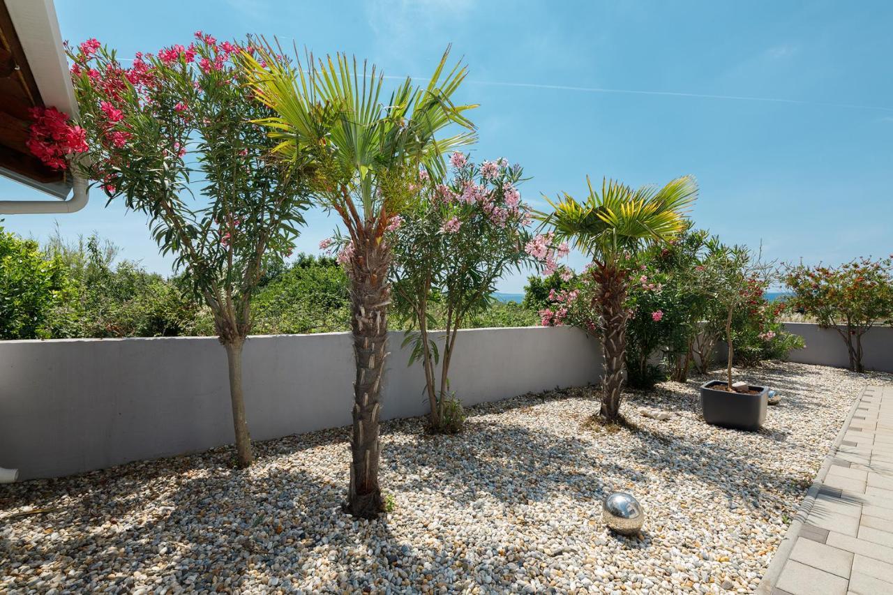 Malo Ferienvilla Privlaka, Pool, Boje, Wi-Fi, Wallbox Privlaka  Exterior foto